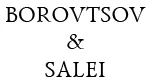 Borovtsov & Salei, Law Firm