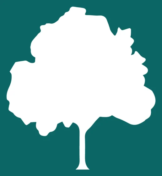 Tembusu Law LLC 