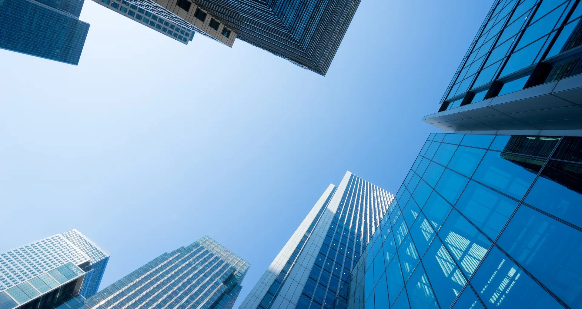 Global Legal Network